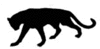 panther10.gif