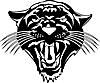 panther11.jpg