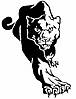 panther8.jpg