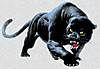stalkingpanthergrey.jpg