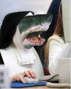sistercarcharias