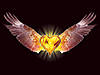 eagleheart_1024.jpg