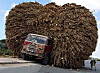 overloaded1.jpg