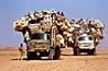overloaded2.jpg