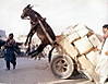 overloaded5.jpg