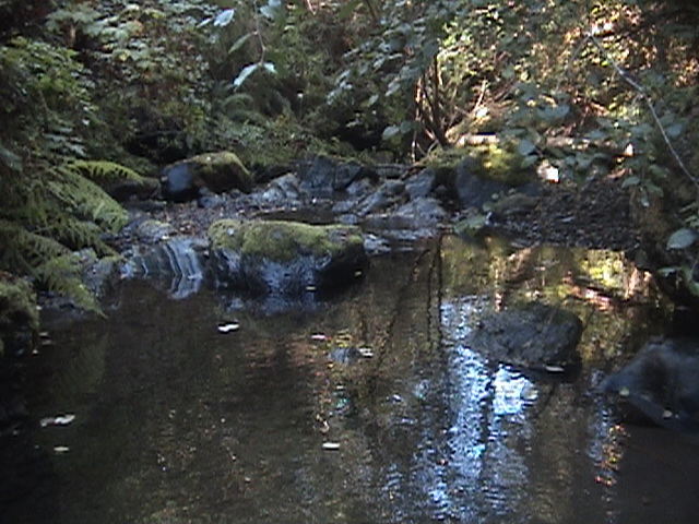 DSC01018