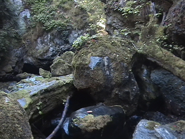 DSC01019