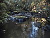DSC01018.JPG