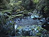 DSC01026.JPG