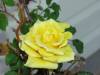 DSC08045.JPG