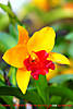 060311-019wn.jpg
