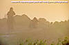 060326-0719wt.jpg