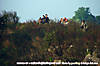 060326-0775wt.jpg