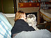 DSC00062.jpg