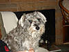 DSC00069.jpg