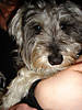 DSC00091.jpg