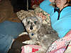 DSC00156.jpg