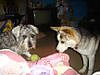 DSC00162.jpg