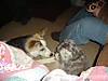 DSC00173.jpg
