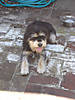 DSC00250.jpg
