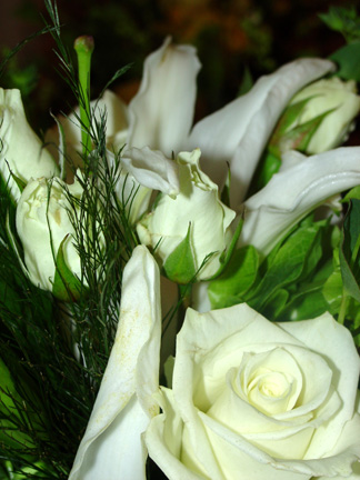 DSC03678_alt