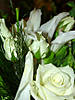 DSC03678_alt.jpg