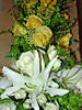 DSC03679_alt.jpg