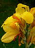 13240975XQM.jpg