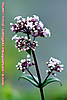 060414-0390wp.jpg