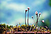 060414-0496wp.jpg