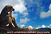 060414-0512wp.jpg