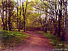 DSC00080_.jpg