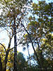DSC00332.JPG