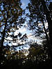 DSC00333.JPG