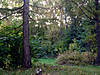 DSC00335.JPG