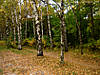 DSC00336.JPG