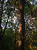 DSC00351.JPG