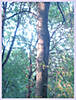 DSC00352.JPG