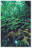 hokphu-front_h645.jpg