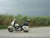 DSC08887_Small_.JPG