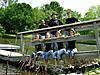 DSC04580_alt.jpg