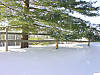 Photosled_059.jpg